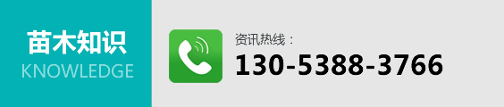 苗木知識