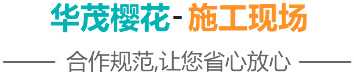 泰安市華貿櫻花苗木專業合作社-施工現場