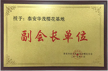 泰安華茂櫻花基地-副會長單位