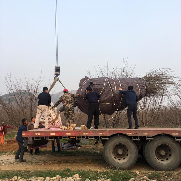 裝車現場