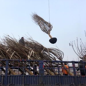 裝車現(xiàn)場(chǎng)