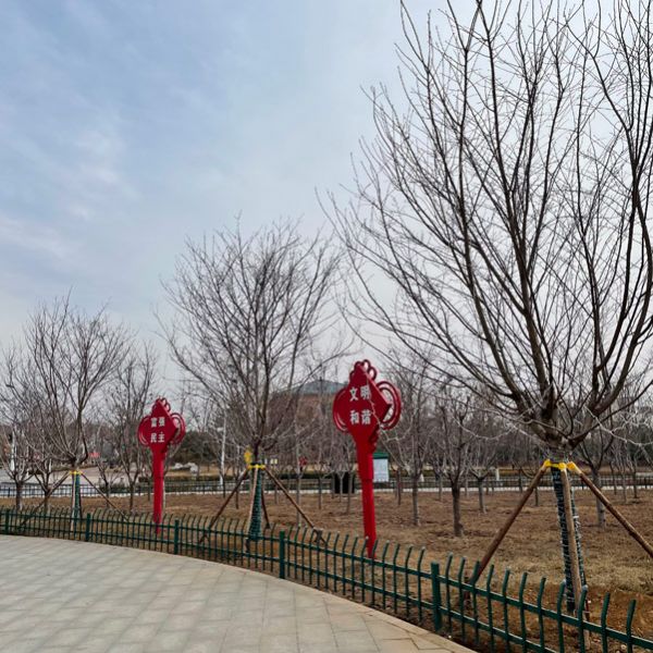圖片展示